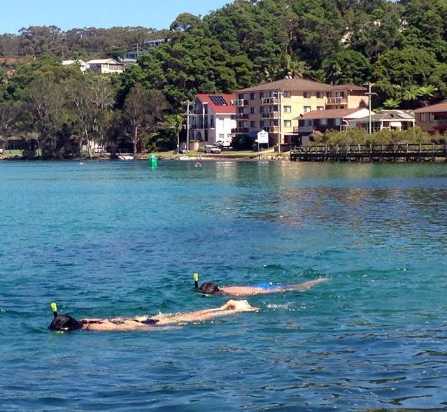 Marcel Towers Holiday Apartments Nambucca Heads Esterno foto