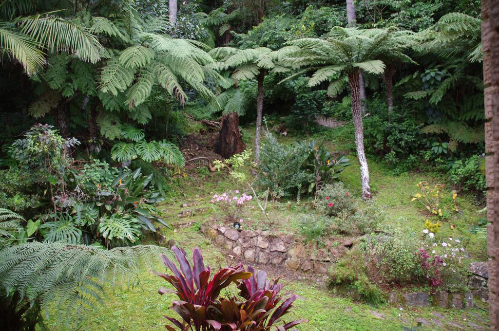 Marcel Towers Holiday Apartments Nambucca Heads Esterno foto